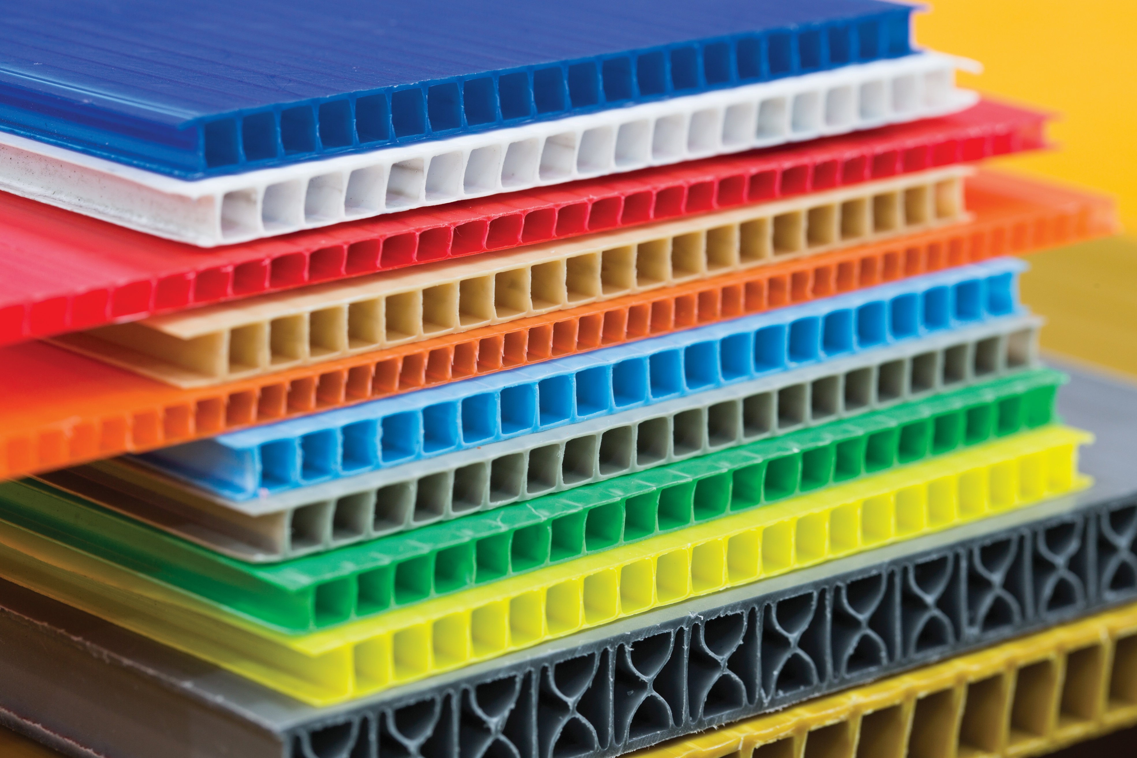 단프라 시트 & 박스